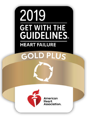 2019 GWTG Heart Failure Gold Logo