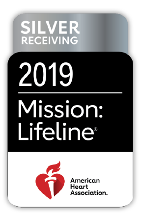 2019 Mission Lifeline STEMI Silver Logo